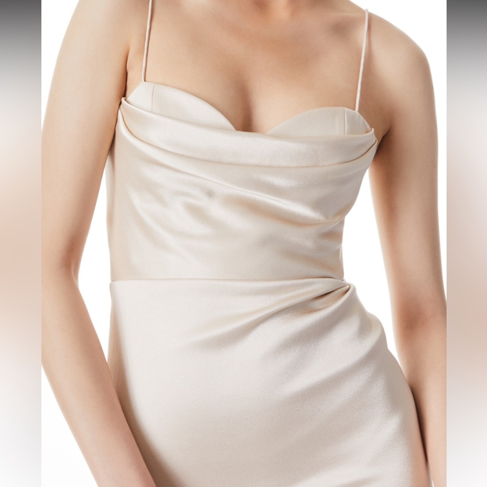 Alice + Olivia Kiyoko Dress